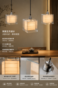 Modern Glass and Paper Pendant Light